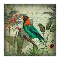 Tropical Bird Nostalgia  (Print Only)