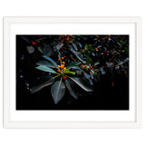 Orange, Green and Dark thumbnail