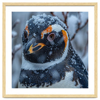 Penguin In Snow Falling Close Up Portrait