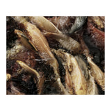 Fish01 (Print Only) thumbnail