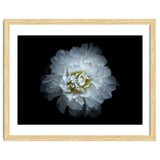 Backyard Flowers No 90 Color Version thumbnail
