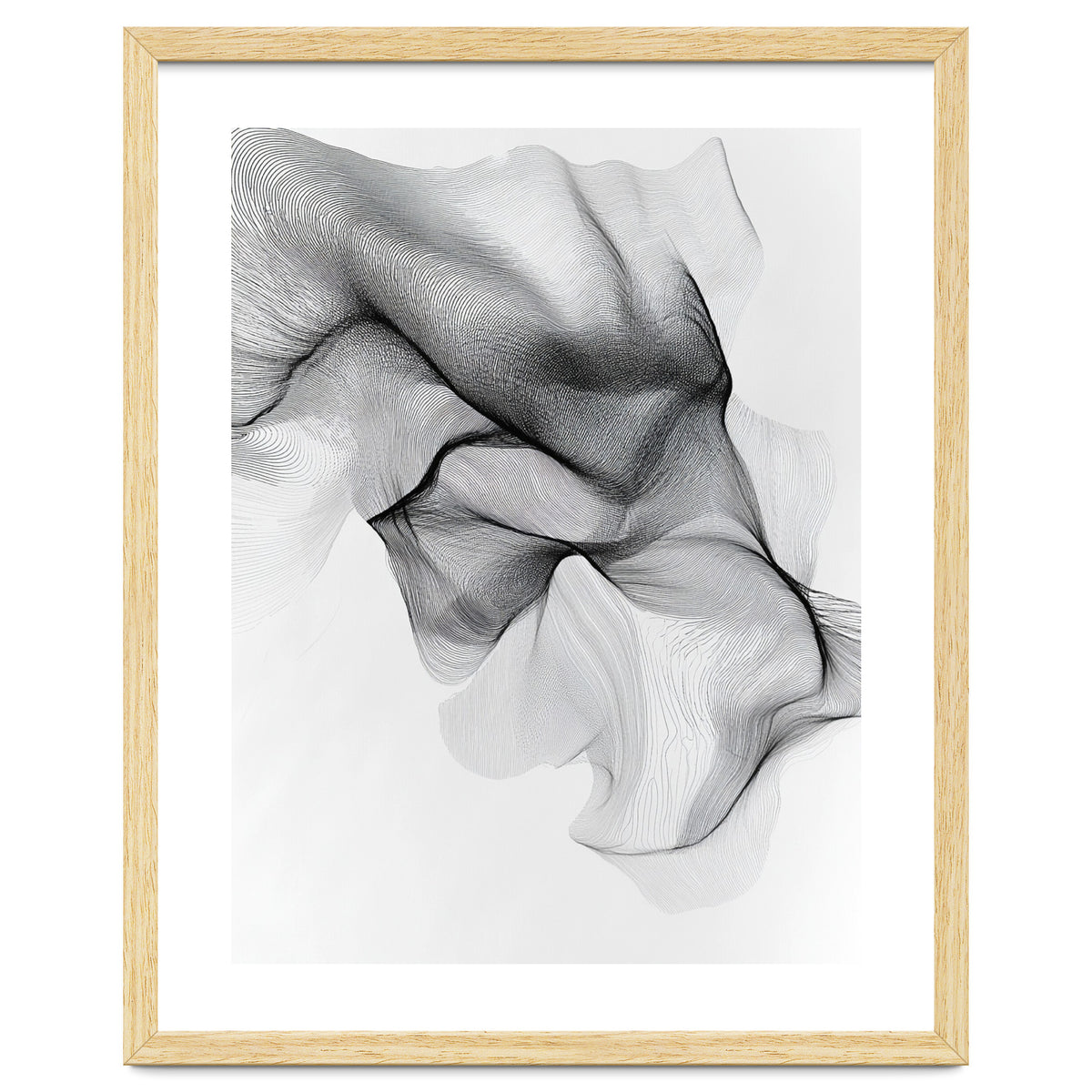 Abstract Black And White Flowing Lines Forming Organic Shapes And Forms