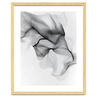 Abstract Black And White Flowing Lines Forming Organic Shapes And Forms