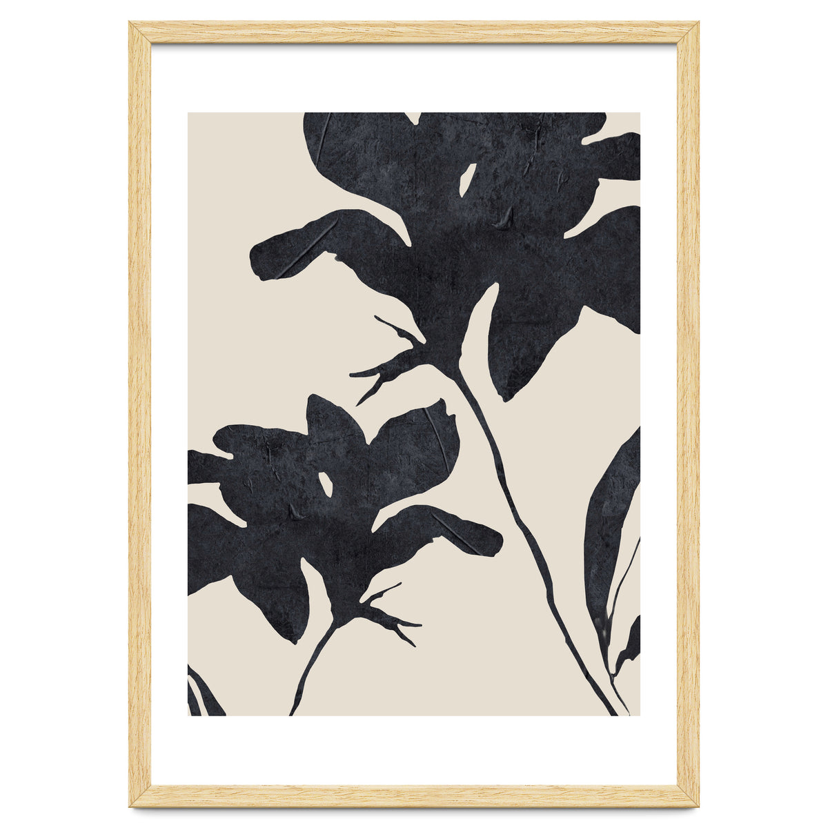 Shadowed Blooms
