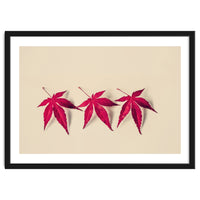 Dancing Leaves