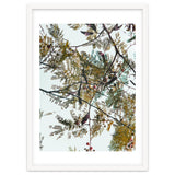 Patterns In Nature thumbnail