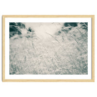Walking Through Long Grass