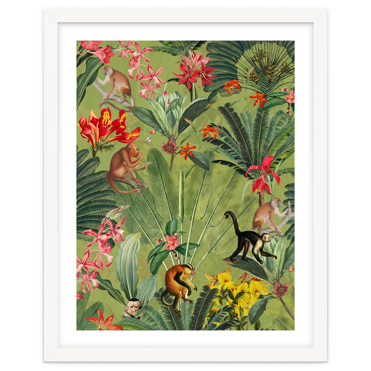 Monkeys In Tropical Jungle Paradise