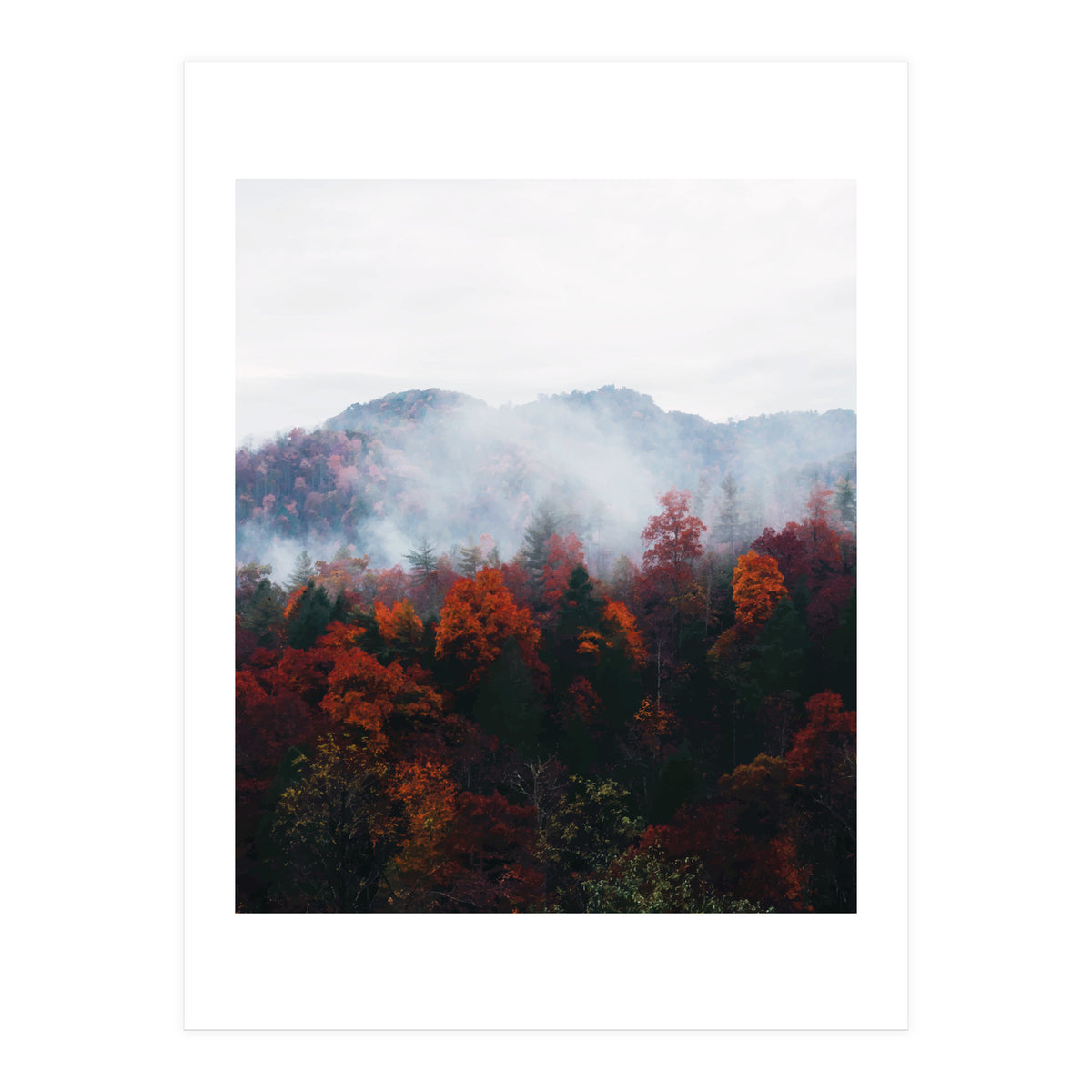 Fog (Print Only)