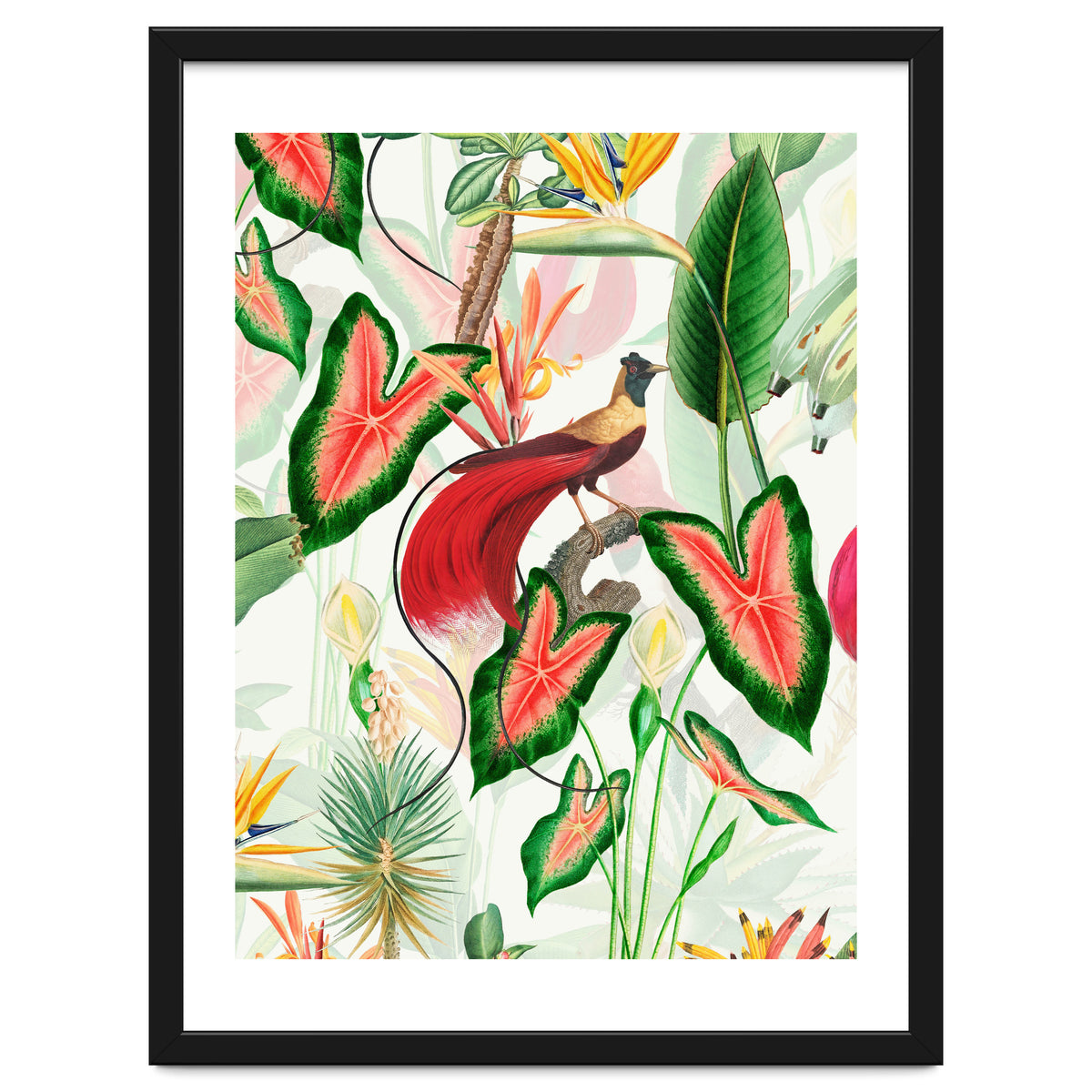 Vintage Bird Of Paradise in Jungle