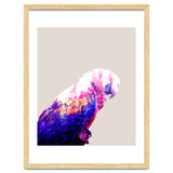 Macaw thumbnail
