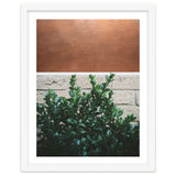 Plant + Copper thumbnail