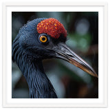 Black Crane Bird Head With Red Crown And Raindrops thumbnail