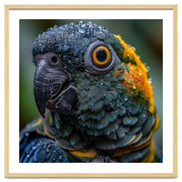 Close Up Of A Wet Macaw Parrot Head