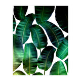 Cosmic Banana Leaves (Print Only) thumbnail