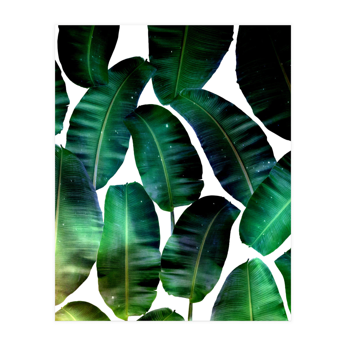 Cosmic Banana Leaves (Print Only)