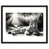 Lynx Resting In Sunlight thumbnail