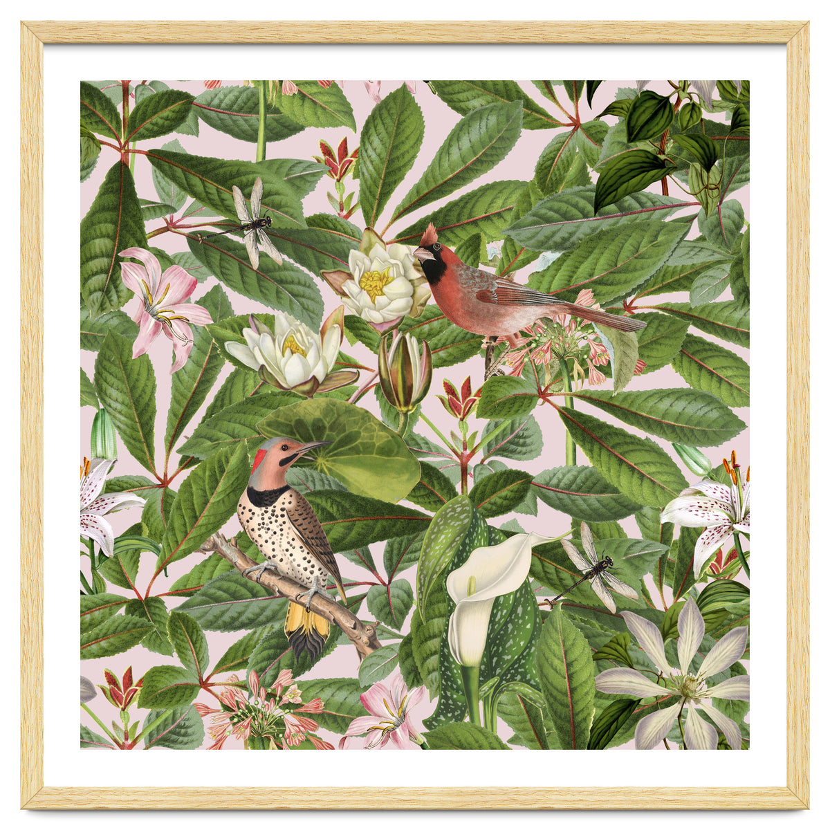 Tropical Bird Garden