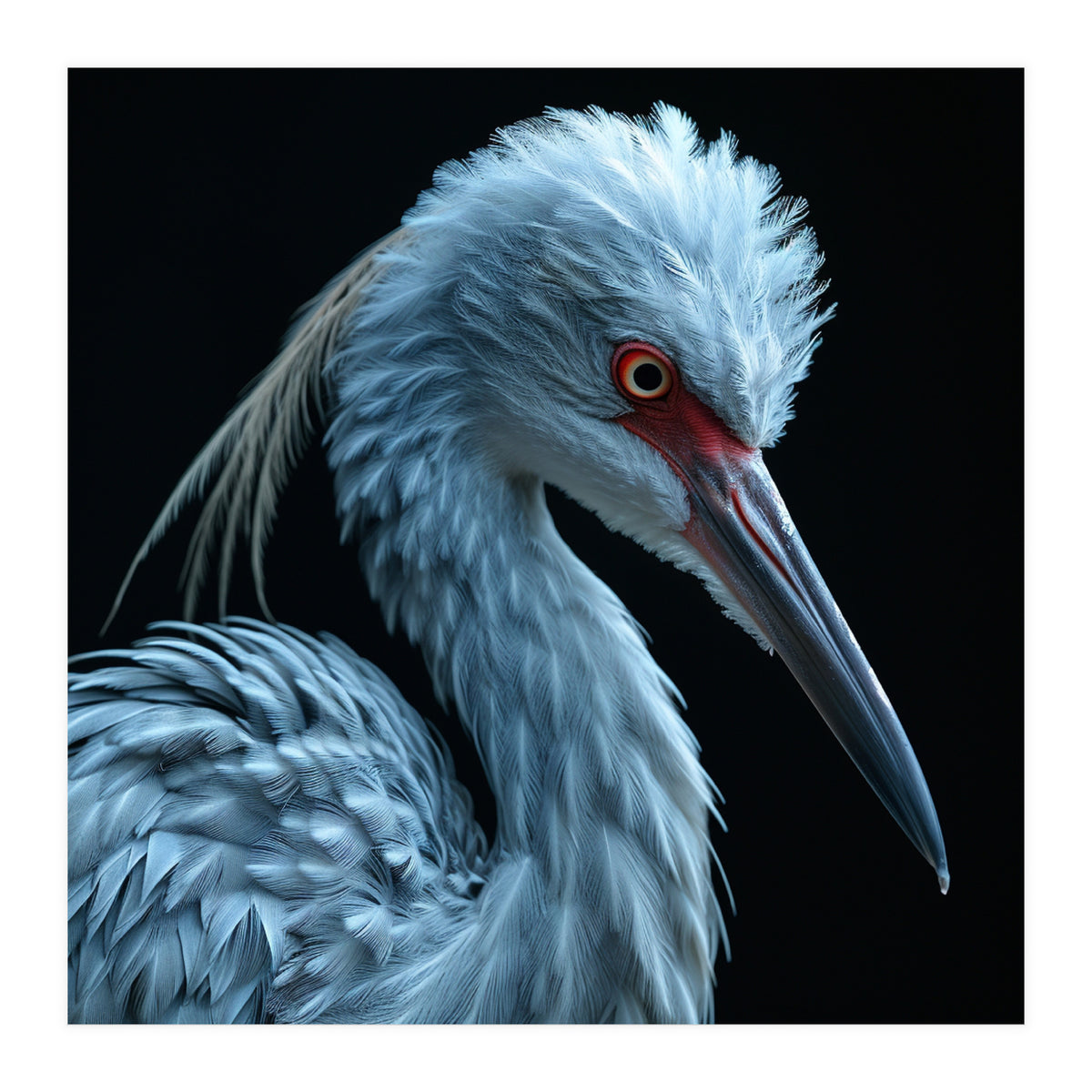 Striking Portrait Of A Blue Heron Bird (Print Only)