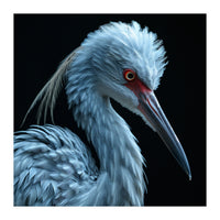 Striking Portrait Of A Blue Heron Bird (Print Only)