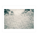 Walking Through Long Grass (Print Only) thumbnail