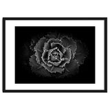Backyard Flowers In Black And White No 101 thumbnail
