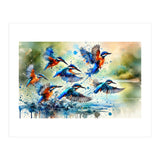 Kingfishers In Flight (Print Only) thumbnail