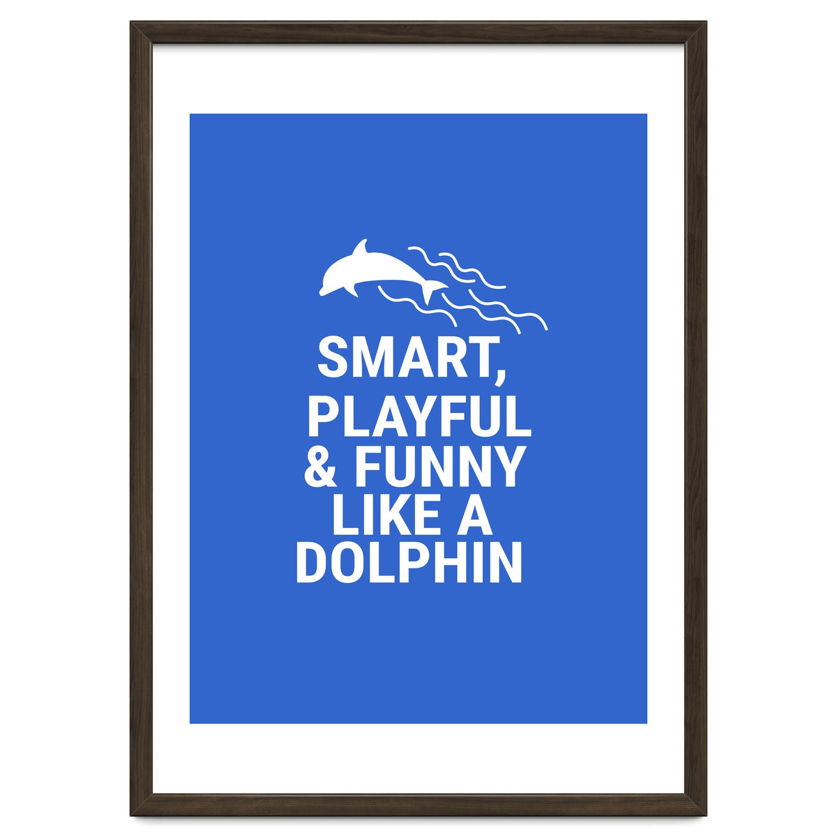 Smart, playful and funny like a dolphin