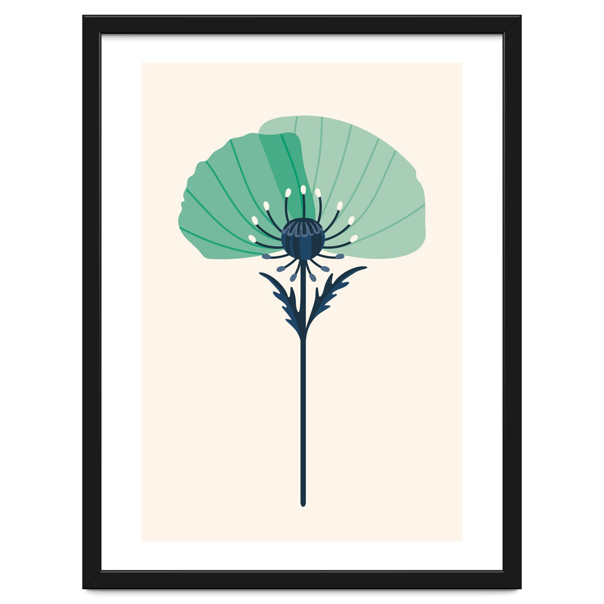 Teal Half Poppy