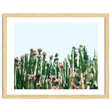 Blush Cactus #society6 #decor #buyart thumbnail