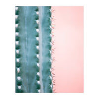 Spiky Cactus (Print Only)