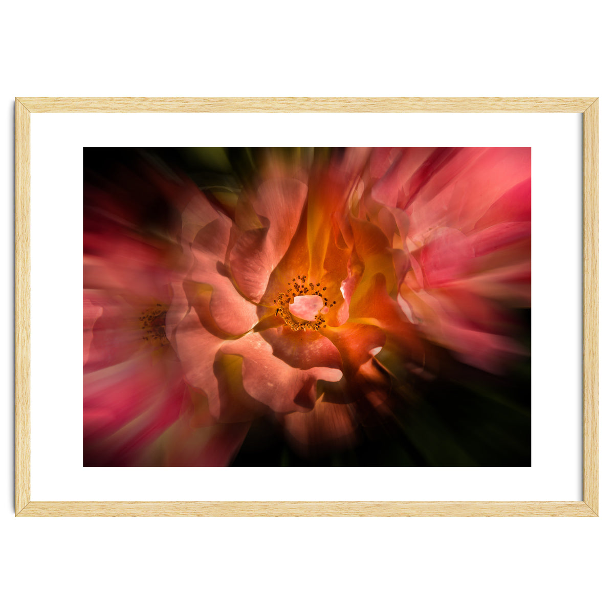 Backyard Flowers No 40 Color Flow Version