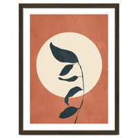 Summer Leaves