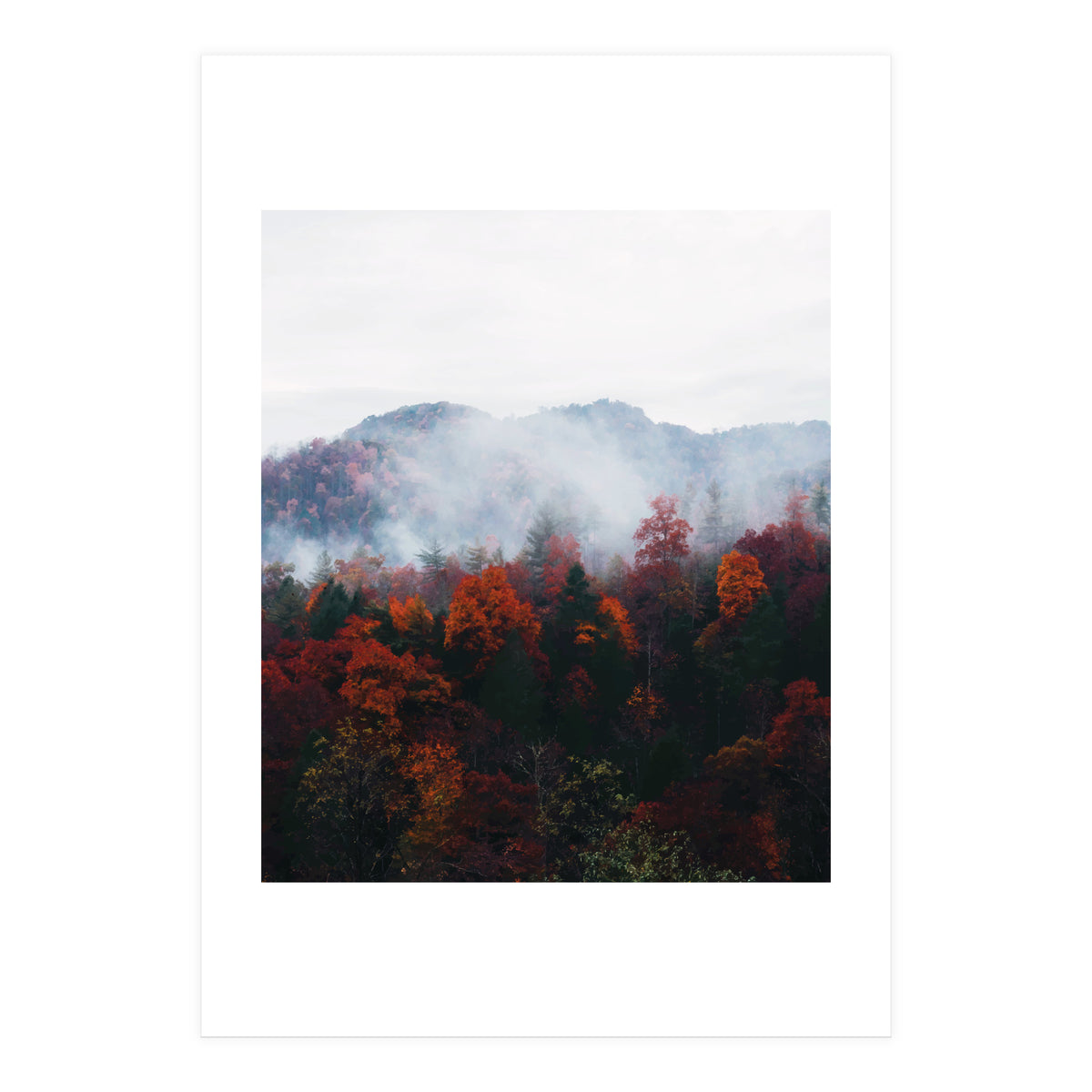 Fog (Print Only)