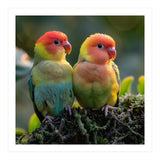 Lovebirds Couple Perched On Mossy Branch Sunlight (Print Only) thumbnail