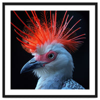 Secretary Bird