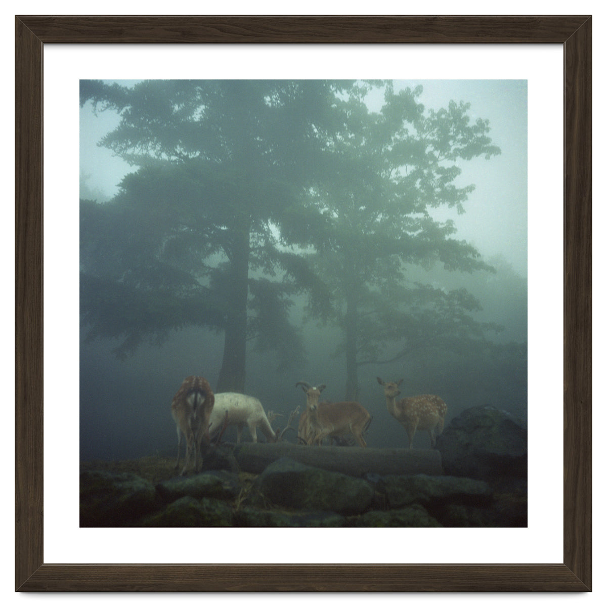 Silence of breath - 05