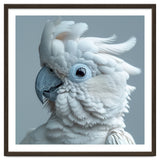 White Cockatoo Bird Portrait Close Up thumbnail