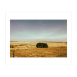Dartmoor 2018 (Print Only) thumbnail