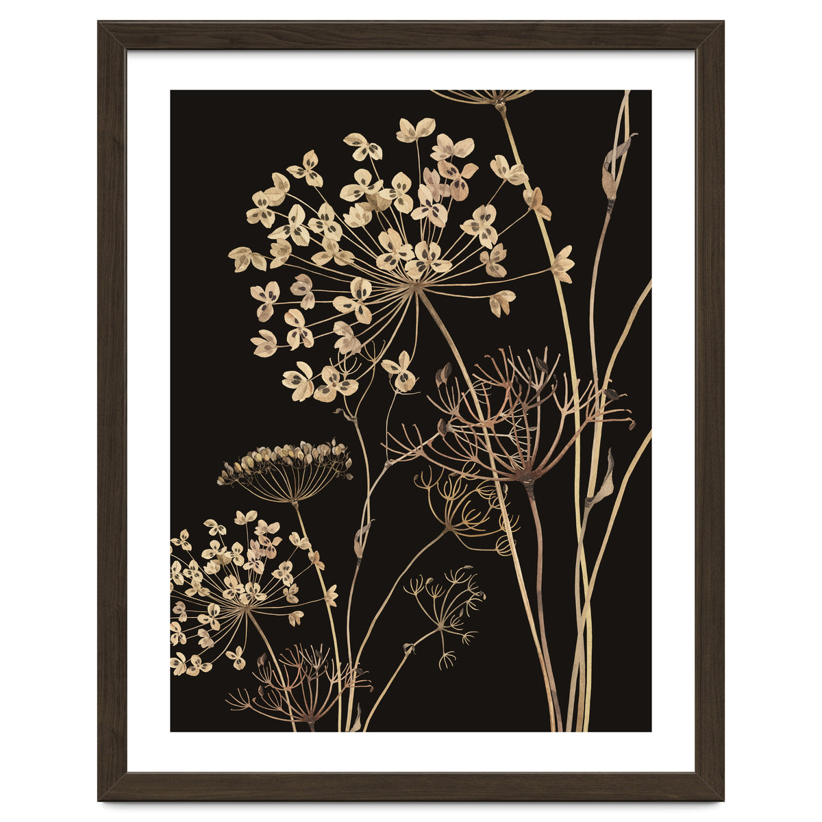 Wildflowers I