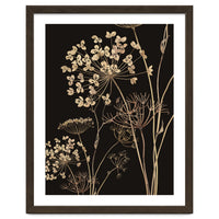 Wildflowers I