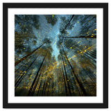 Enchanted Night Forest with Glowing Fireflies thumbnail