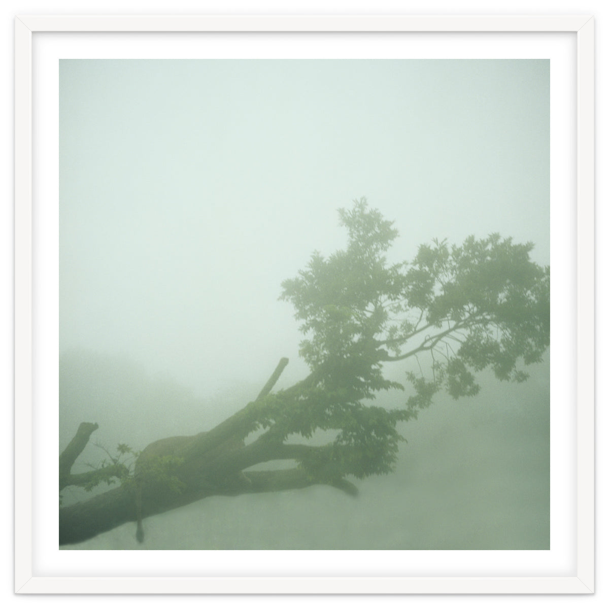 Silence of breath - 07