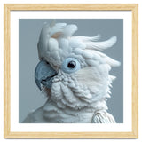 White Cockatoo Bird Portrait Close Up thumbnail