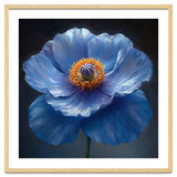 Meconopsis | Sapphire Serenade thumbnail