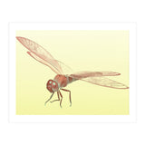 Wings of Transformation (Print Only) thumbnail
