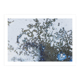 Coral Rising (Print Only) thumbnail