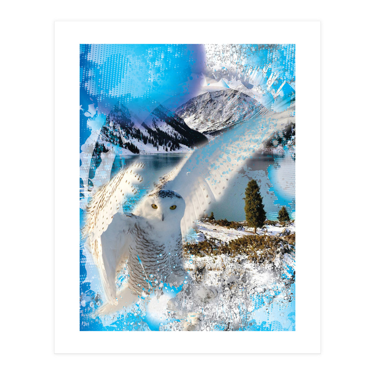 Snow Owl (Print Only)