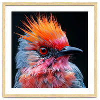 Close Up Of Exotic Bird With Vibrant Plumage