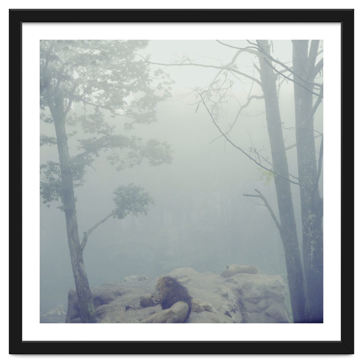 Silence of breath - 02